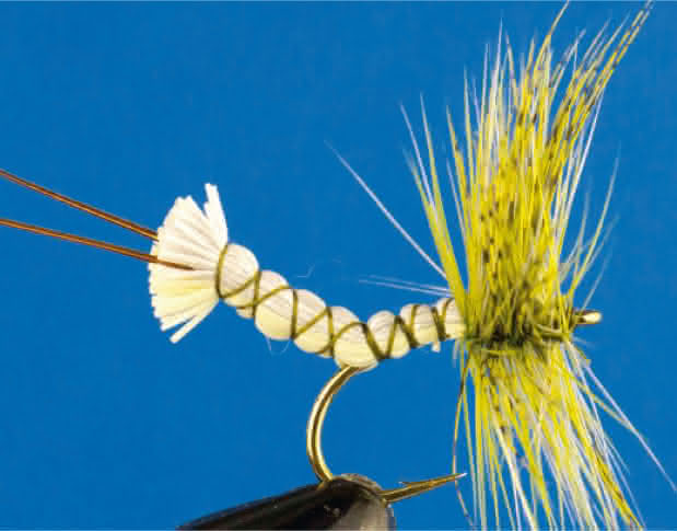 Mayfly universal