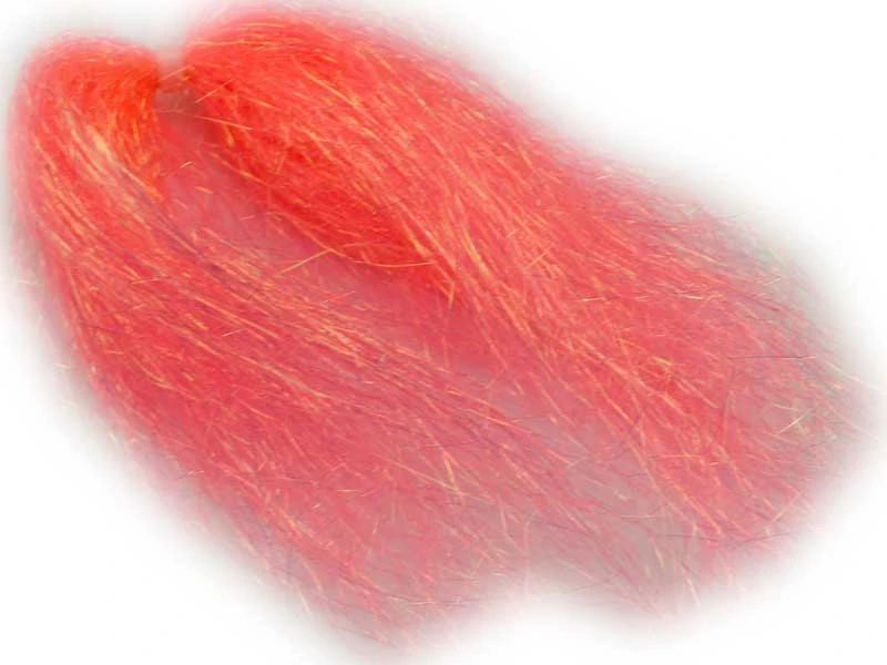 Wing N Flash Wing N Flash