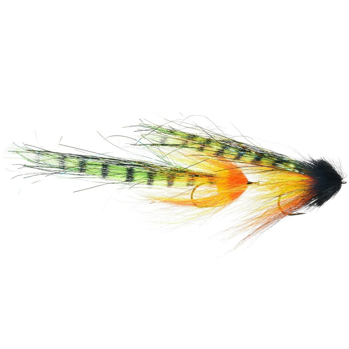 Northwoods Ninja (Firetiger) Northwoods Ninja (Firetiger)
