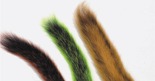 Squirrel Tails