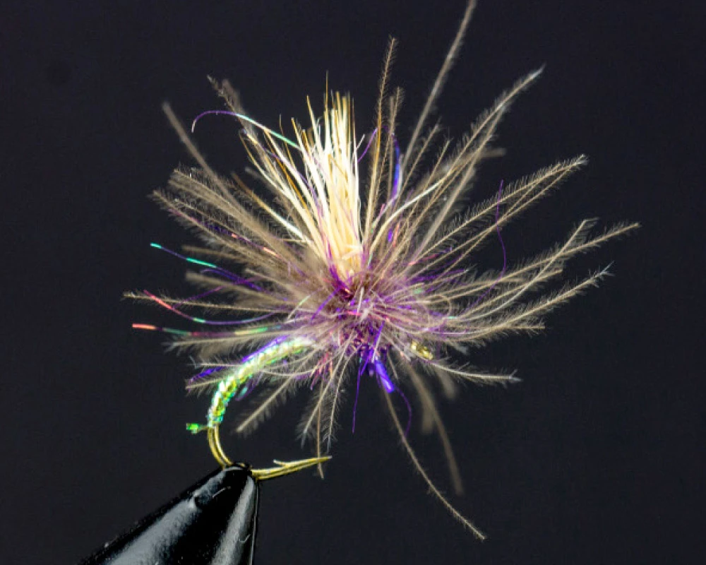 CDC Appetizer (peacock) CDC Appetizer (peacock)