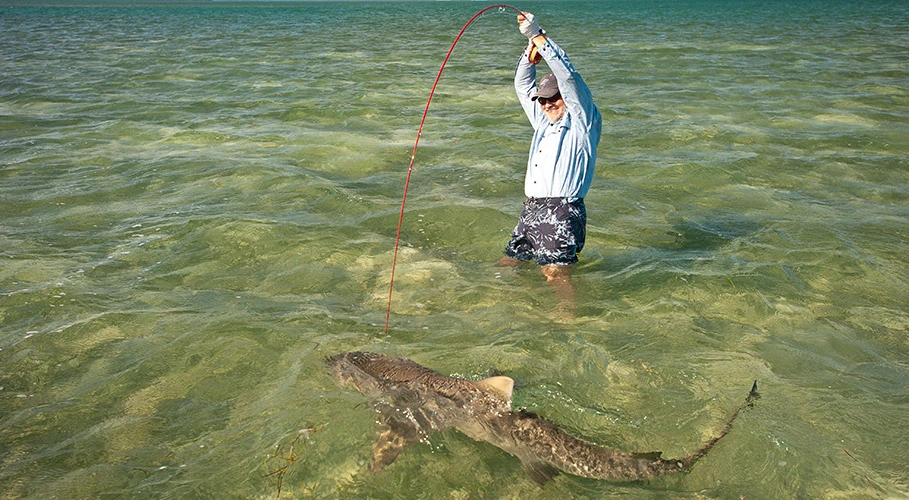 Fliegenschnüre für das Salzwasser