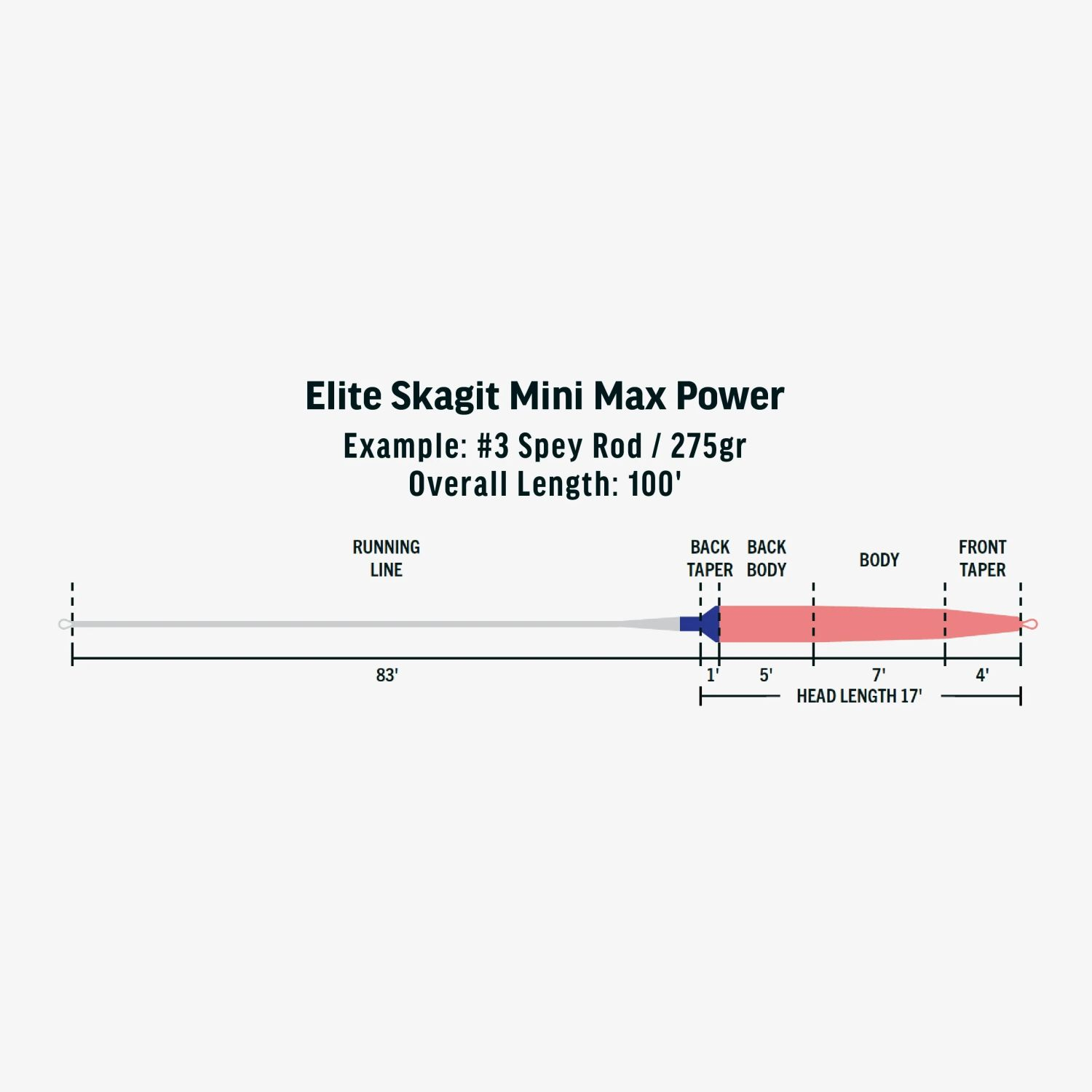 Integrated Skagit Mini Max Power Vollschnur