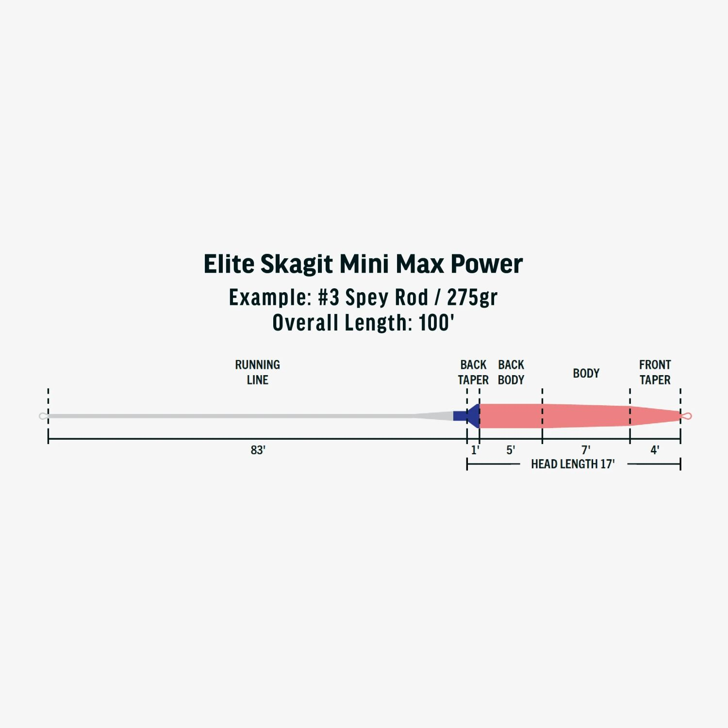 Integrated Skagit Mini Max Power Vollschnur Integrated Skagit Mini Max Power Vollschnur