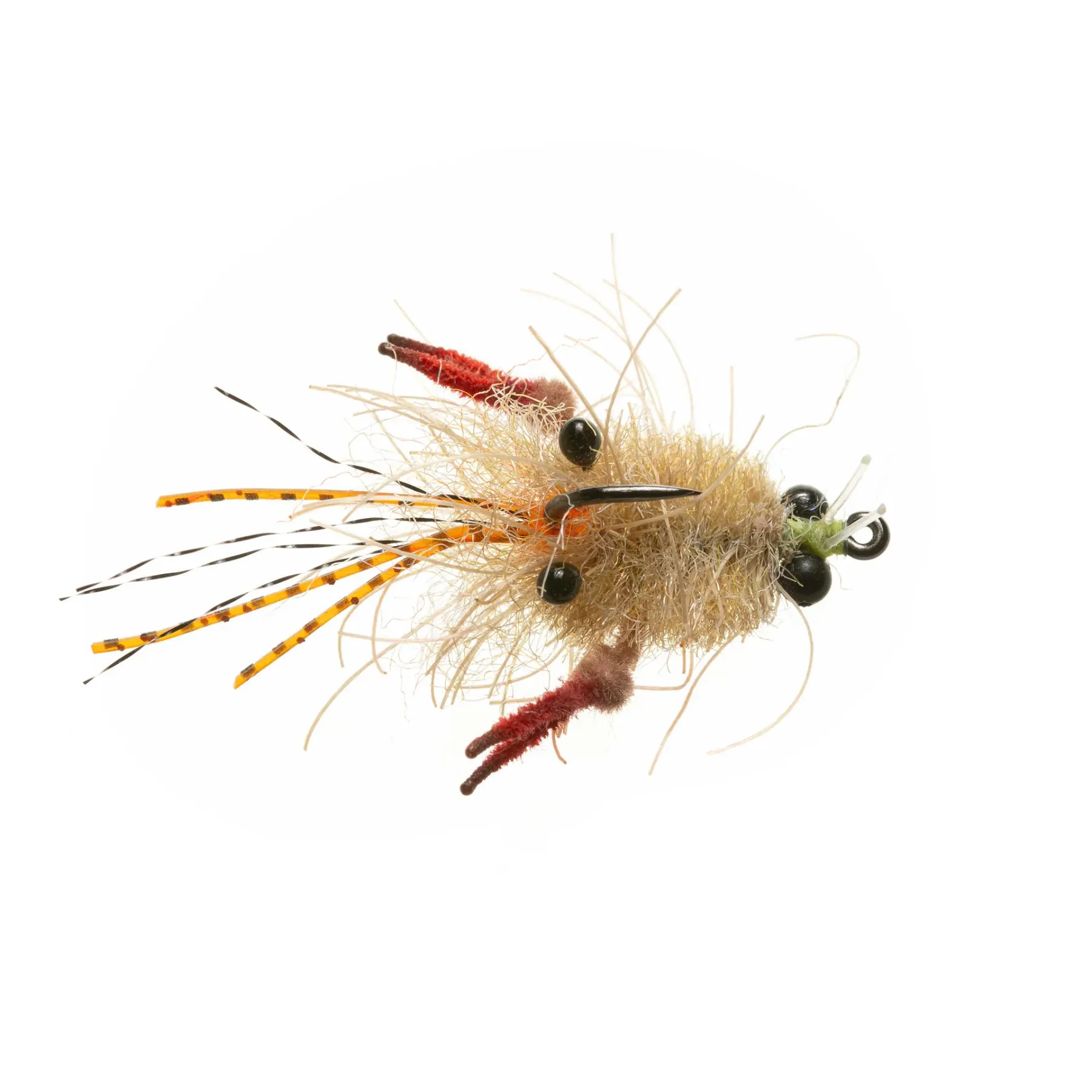 Tarantula Crab (Mottled Tan)