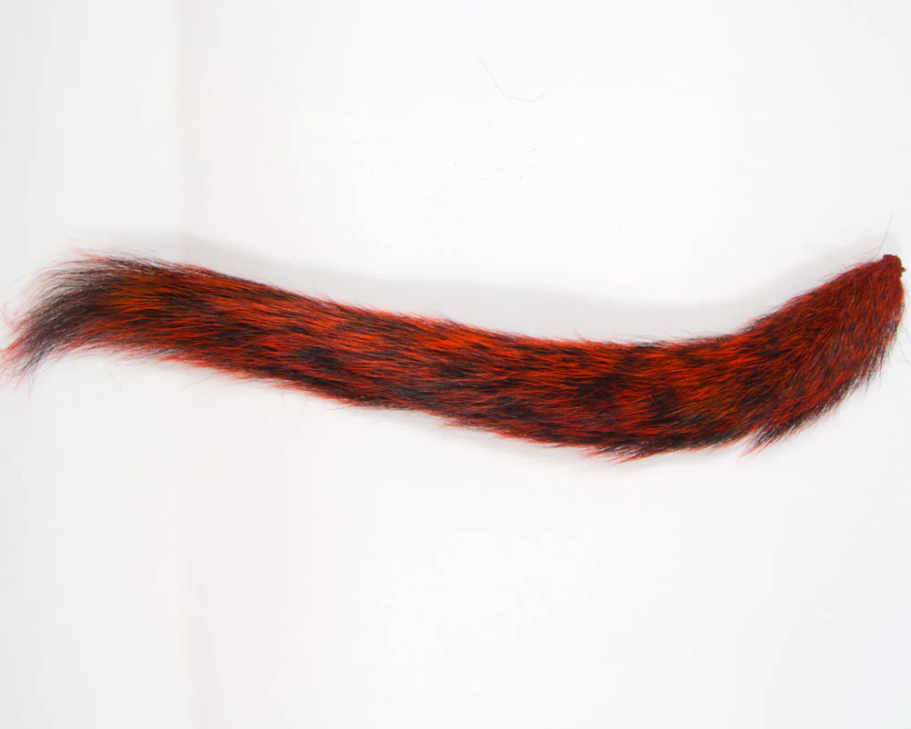 Squirrel Tails Squirrel Tails