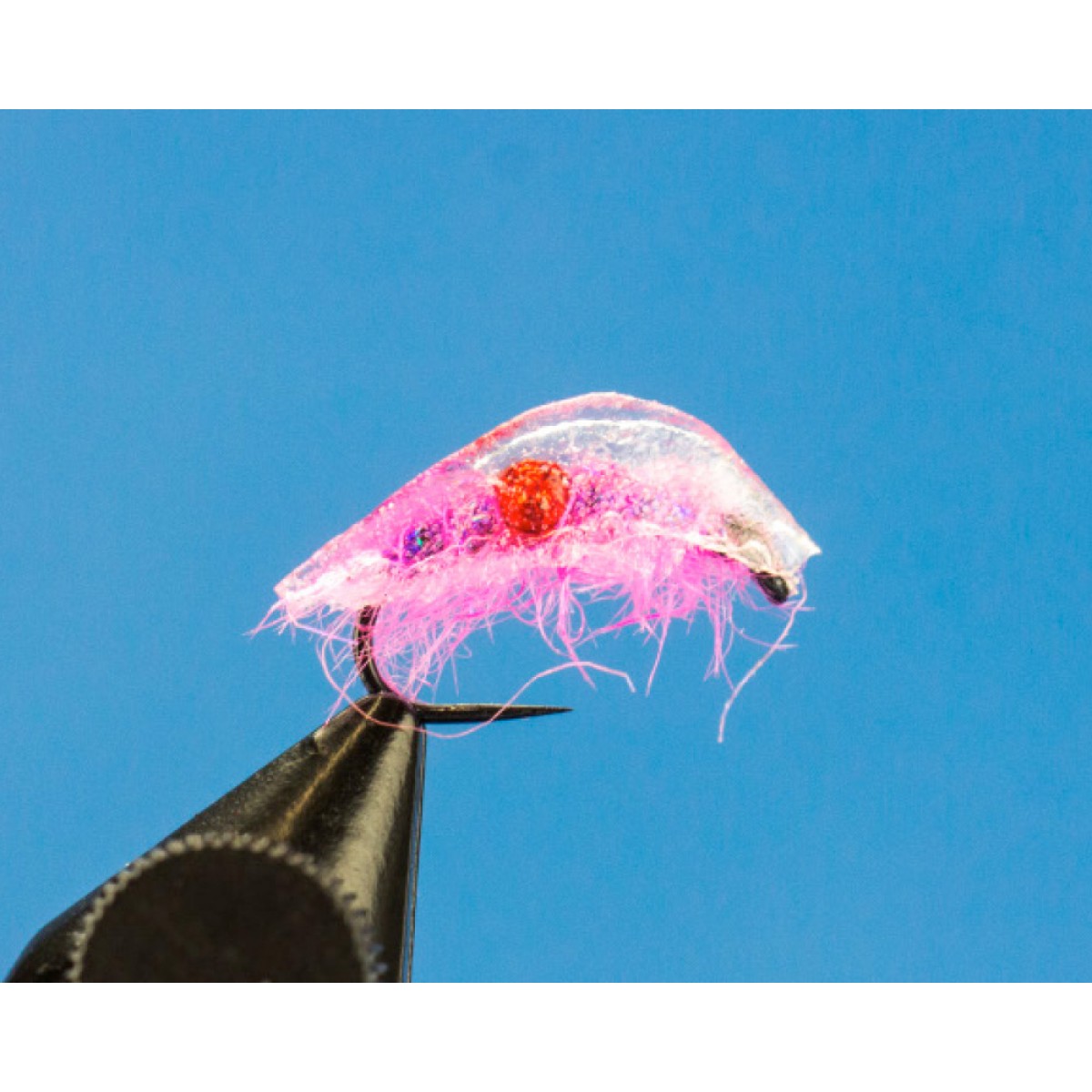 UV Shrimp (pink)