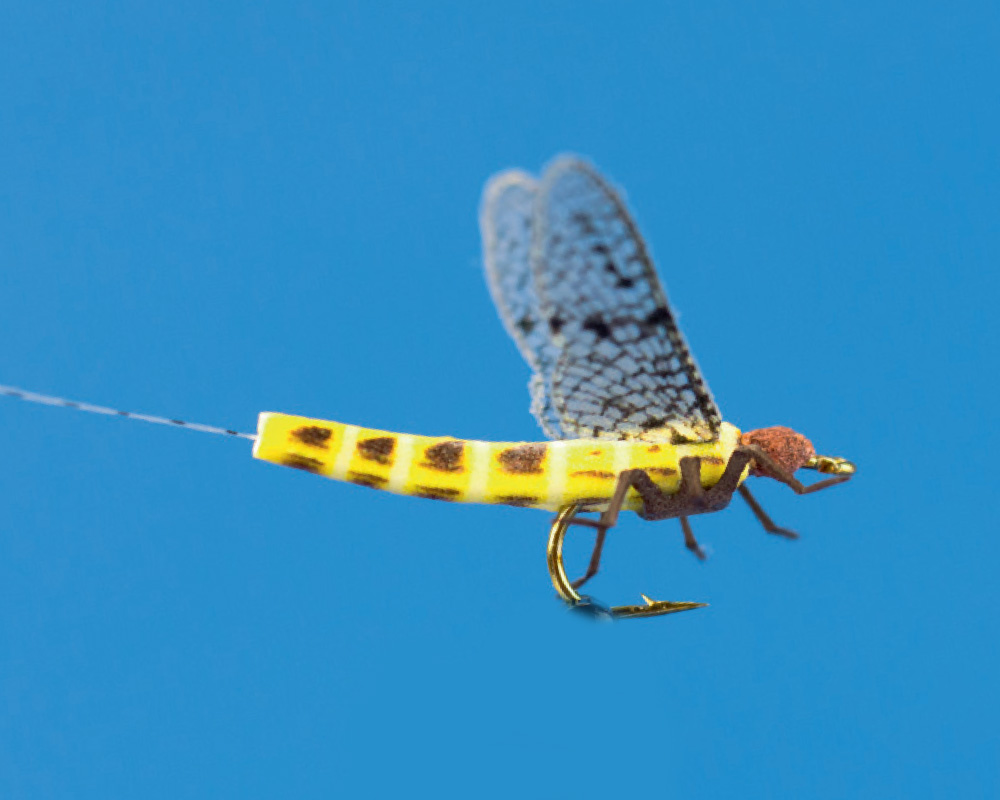 Fliegenfischen mit der Maifliege - Expertenwissen aus 1. Hand