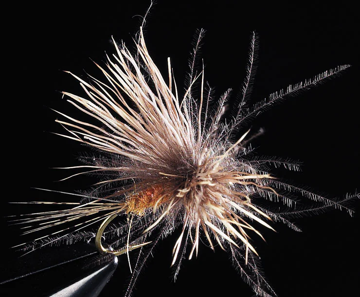 CDC Delta Wing CDC Delta Wing