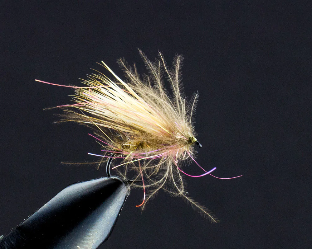 CDC Sparkle Buck Caddis (tan) CDC Sparkle Buck Caddis (tan)