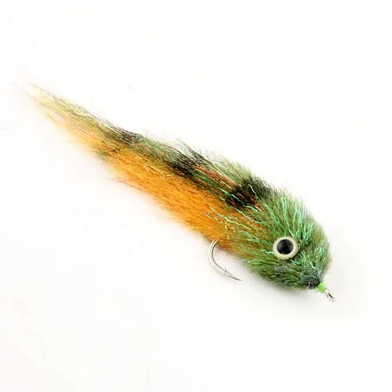 Dorado Baby (peacock) Dorado Baby (peacock)