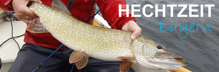 Fliegenfischen auf Hecht - Fliegenrute, Fliegenrolle, Fliegenschnur, Streamer Fliegenfischen auf Hecht - Fliegenrute, Fliegenrolle, Fliegenschnur, Streamer