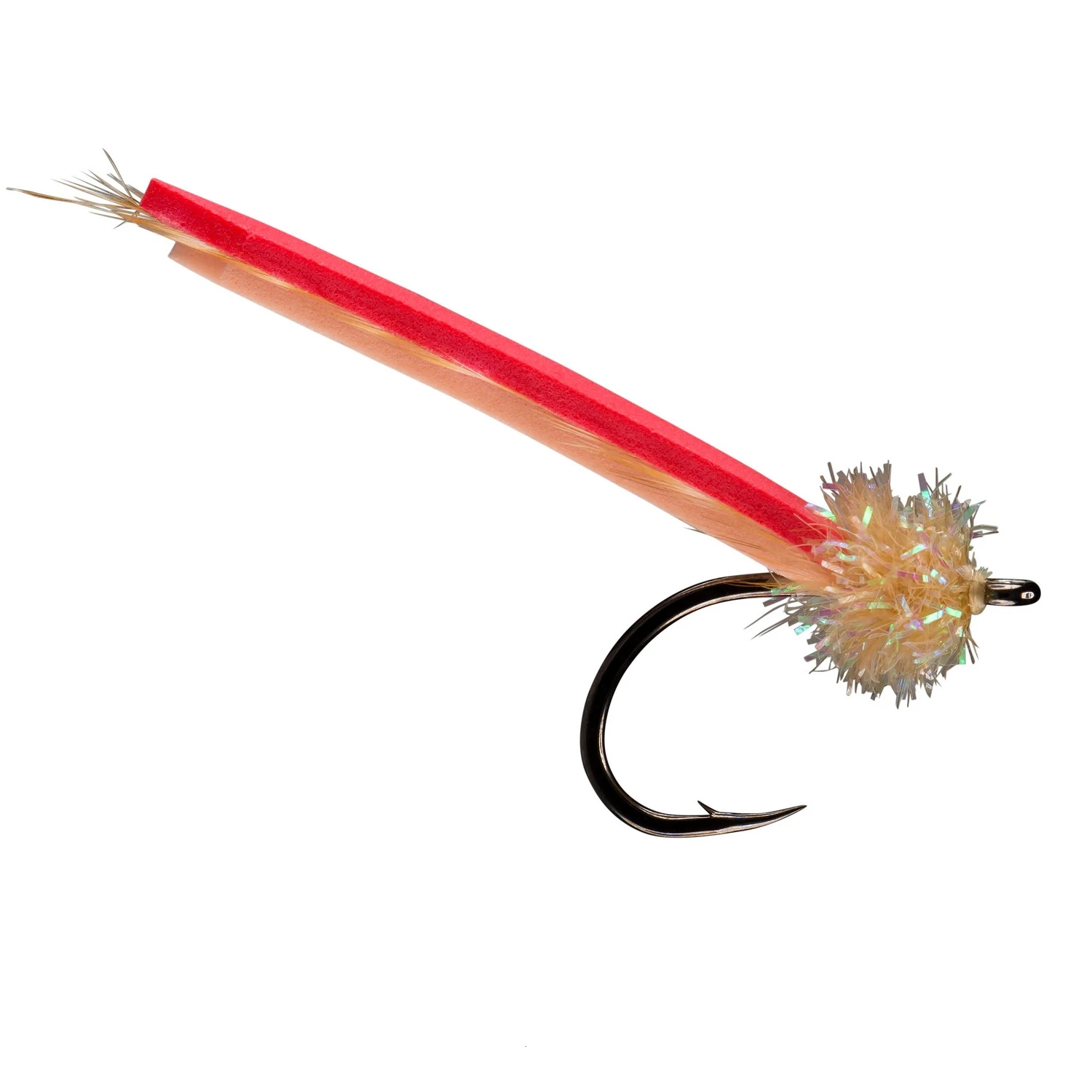 Palolo Worm Palolo Worm