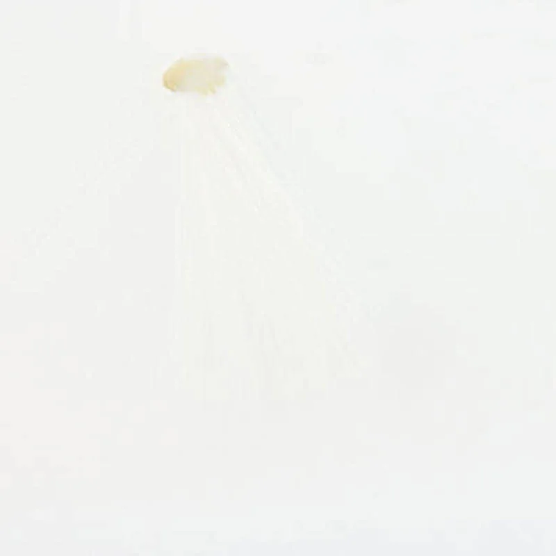 Spinner Tails Colour: weiß Spinner Tails Colour: weiß