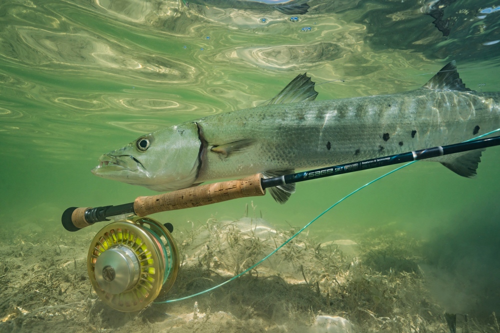 R8 Fly Rod with Barracuda