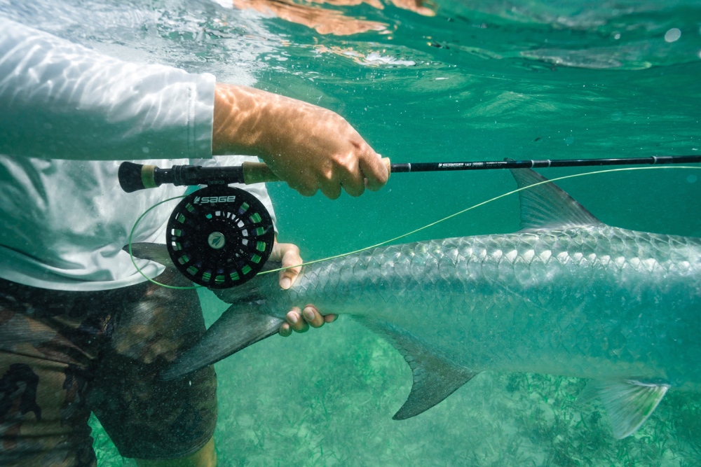 R8 Fly Rod with Tarpon