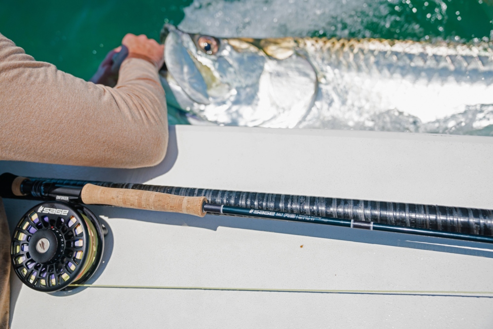 R8 Fly Rod with Florida Tarpon