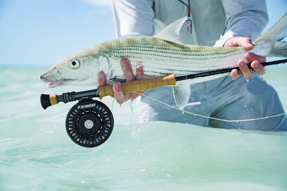 SAGE Enforcer Fly Reel  with a nice bonefish