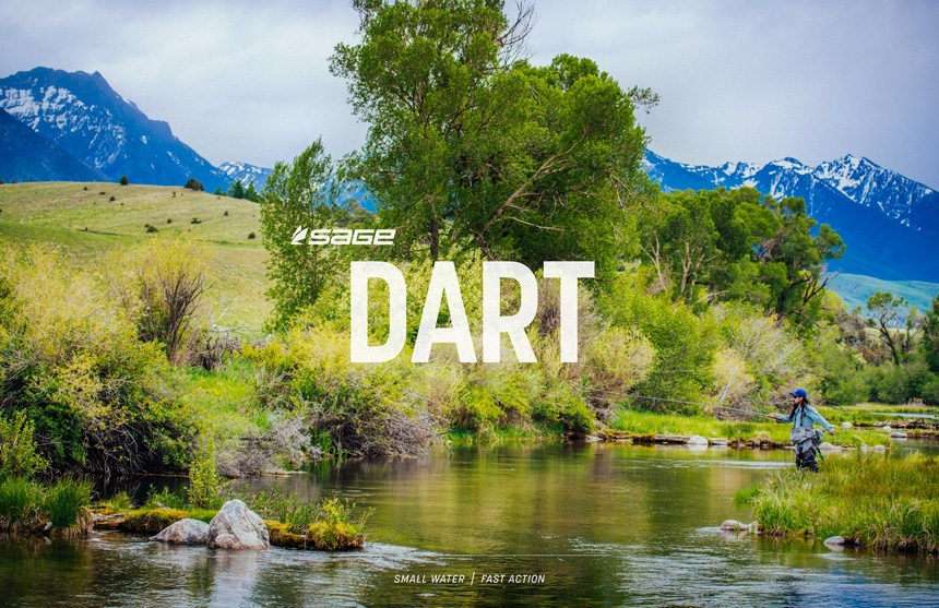 sage_dart_banner.jpg