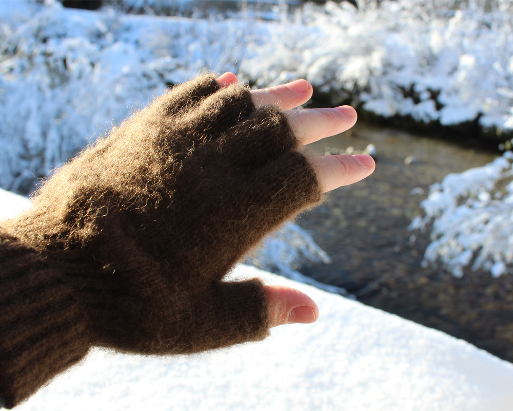 Bison Fingerless Gloves 