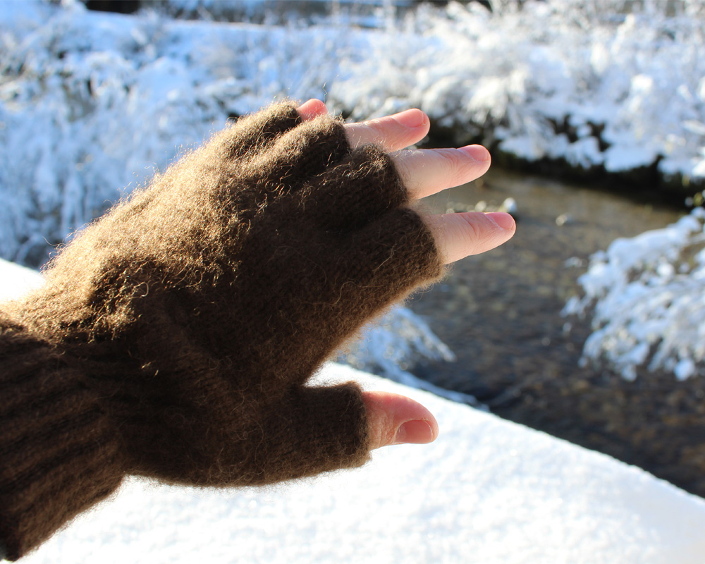 Bison Fingerless Gloves