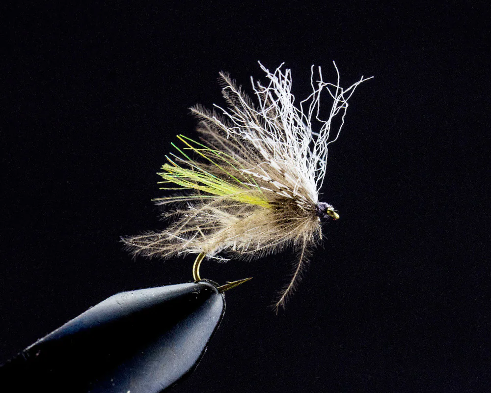 CDC Auskriecher (hell) CDC Auskriecher (hell)