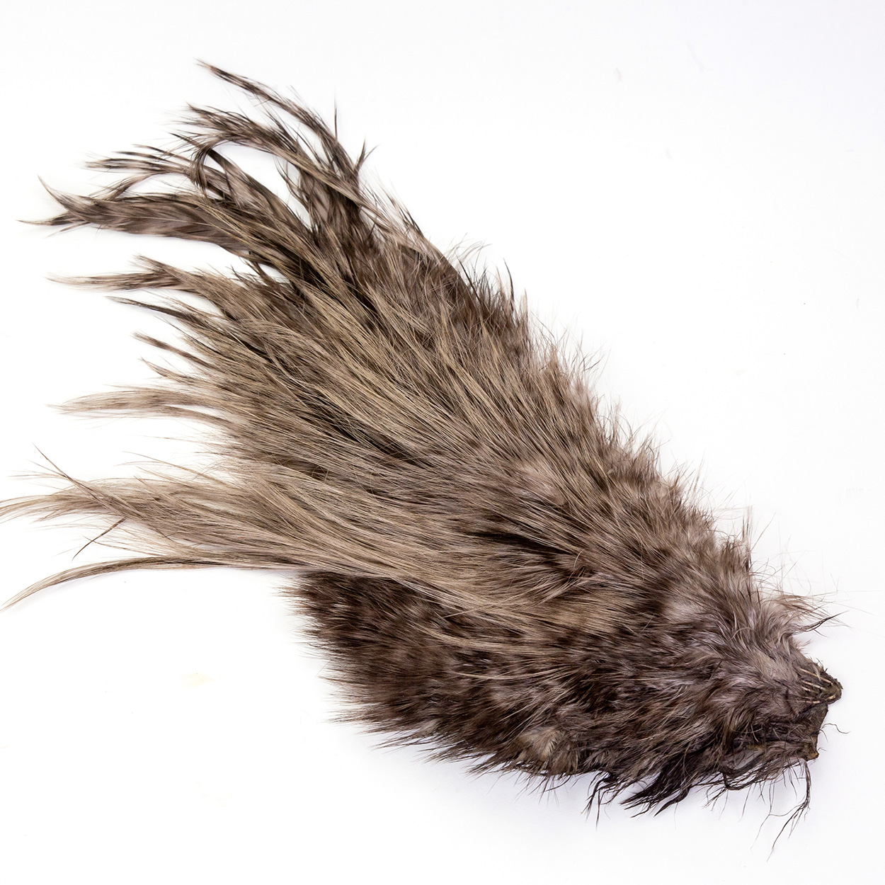 Bird Fur