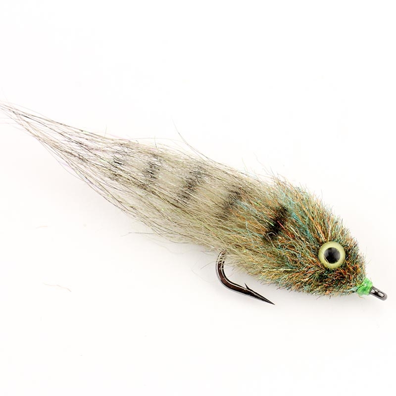 E.P. Mud Minnow (mottled olive)