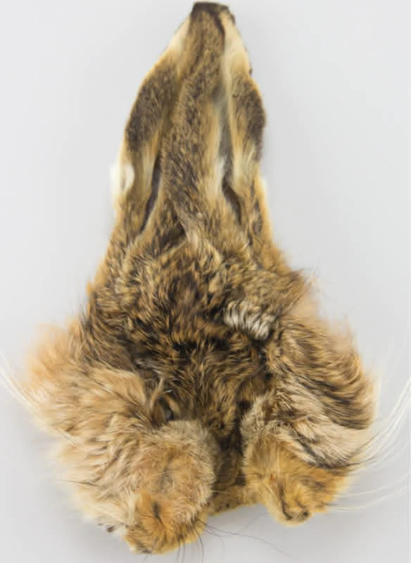 Hare's Mask Hare's Mask