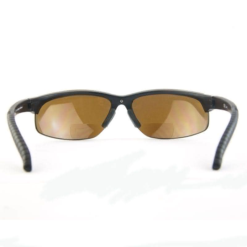 Interchange Bifocal Polarized Glasses (+2.5)