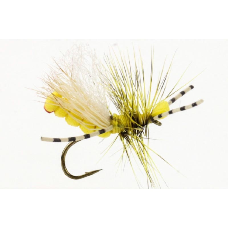 NeverSink Sally