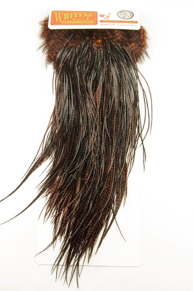Saddle (bronce Quality)
