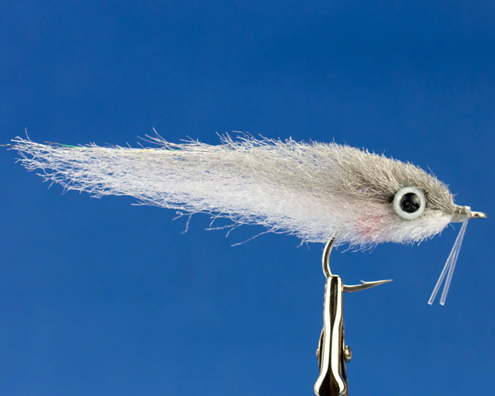 Baby Tarpon Special Baby Tarpon Special