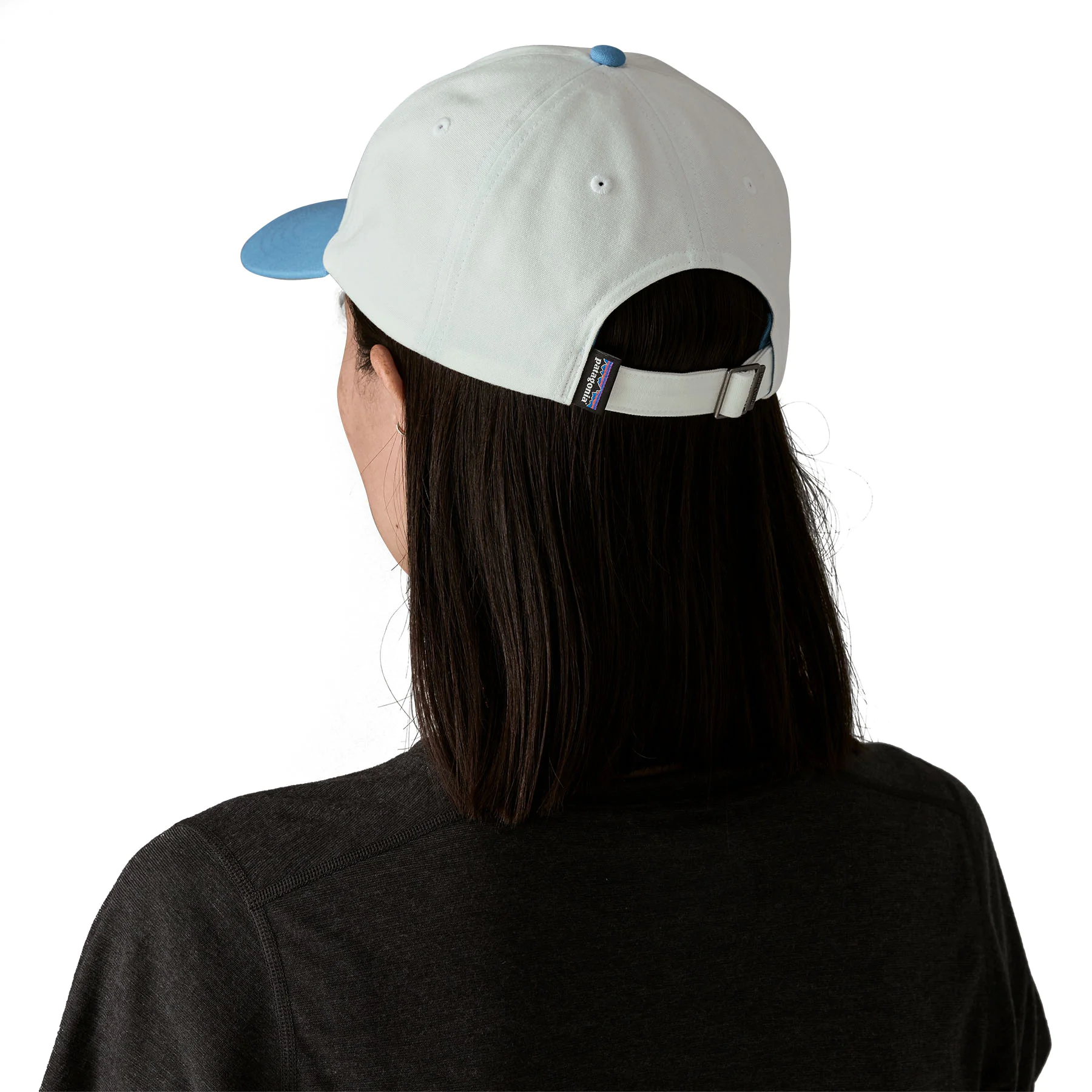 P-6 Label Trad Cap (birch white w/blue sage)