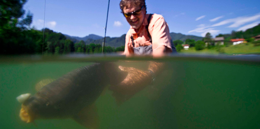 Fliegenfischen auf Karpfen Fliegenfischen auf Karpfen