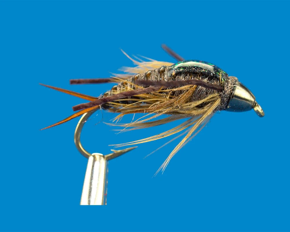 Stonefly Nymph (brown) Stonefly Nymph (brown)