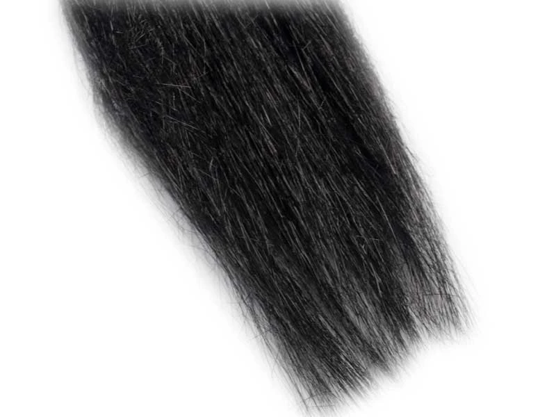 Wing N Flash Wing N Flash