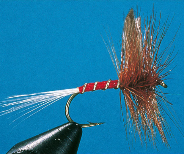 Rotspinner