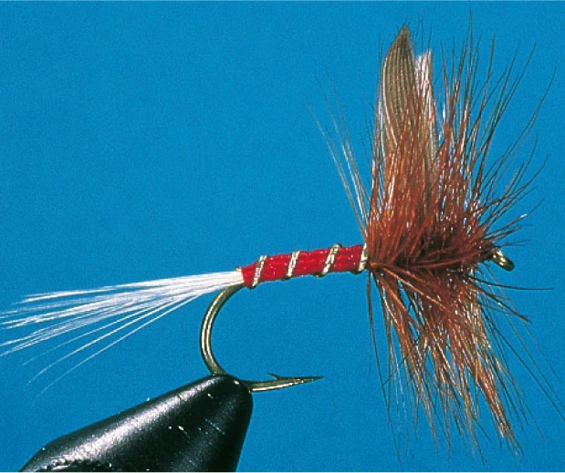 Rotspinner Rotspinner