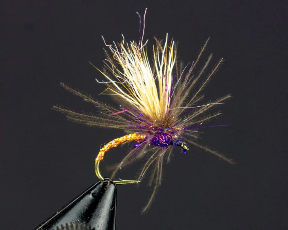 CDC Appetizer (red) CDC Appetizer (red)