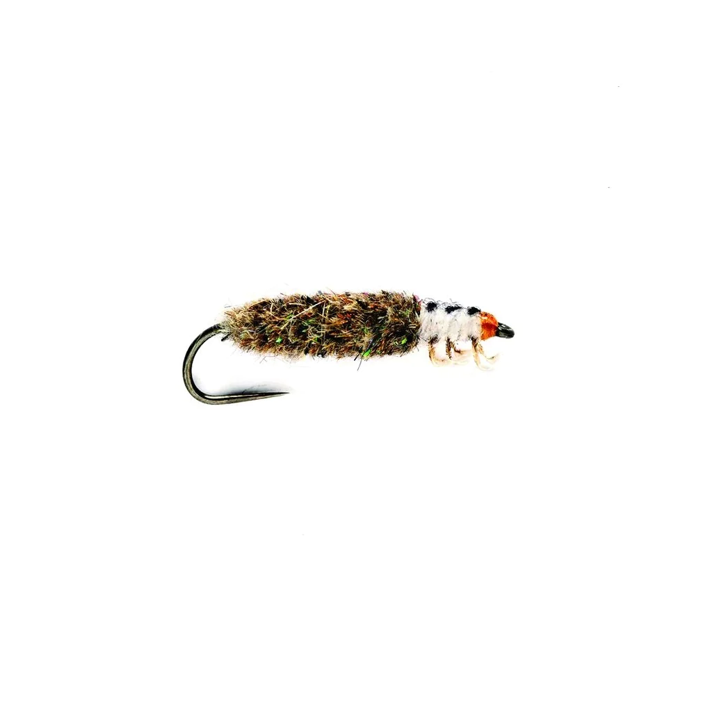 Finish Cased Caddis Finish Cased Caddis