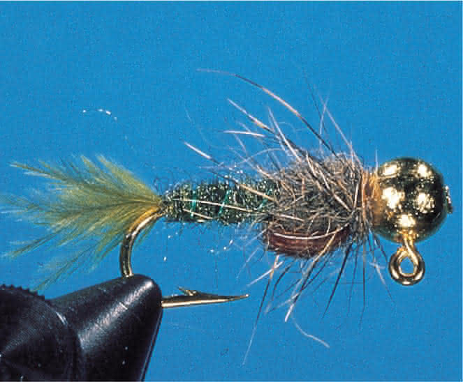 Jig olive