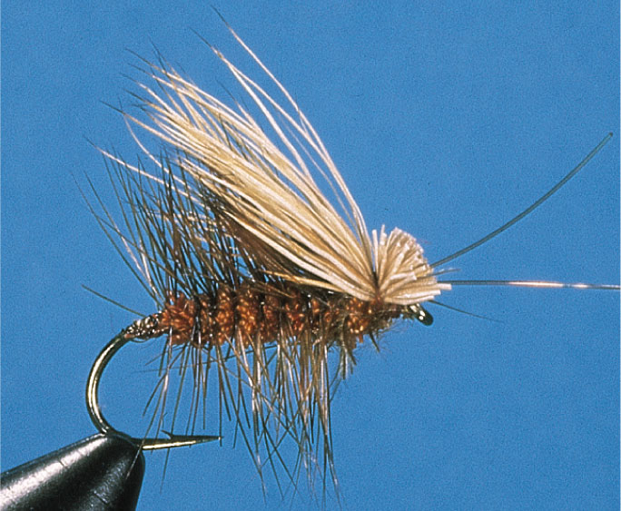 Irresistible Elk Caddis (brown)