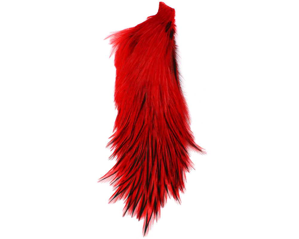 American Hackle XL 1/2 Balg American Hackle XL 1/2 Balg