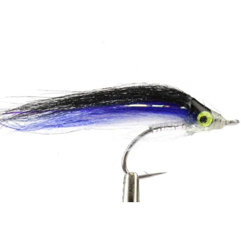 Kieler Sprotte Kieler Sprotte