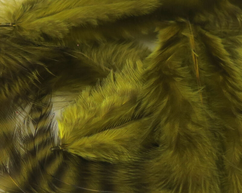 UV2 Grizzly Soft Hackle