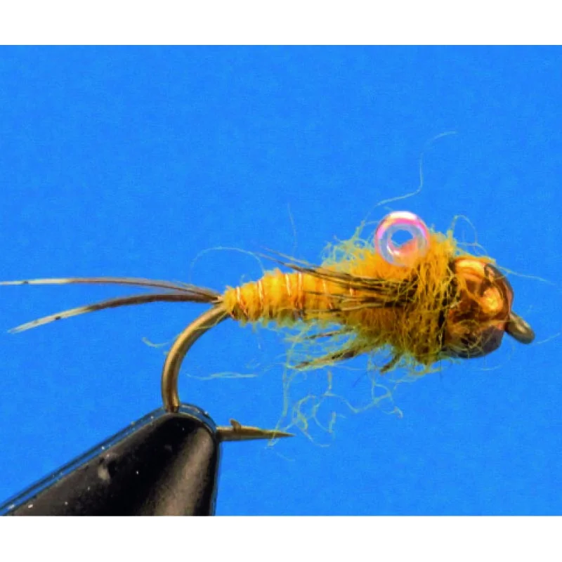 Flatulator Nymph Flatulator Nymph