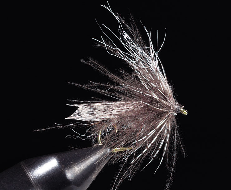 CDC Traun Caddis