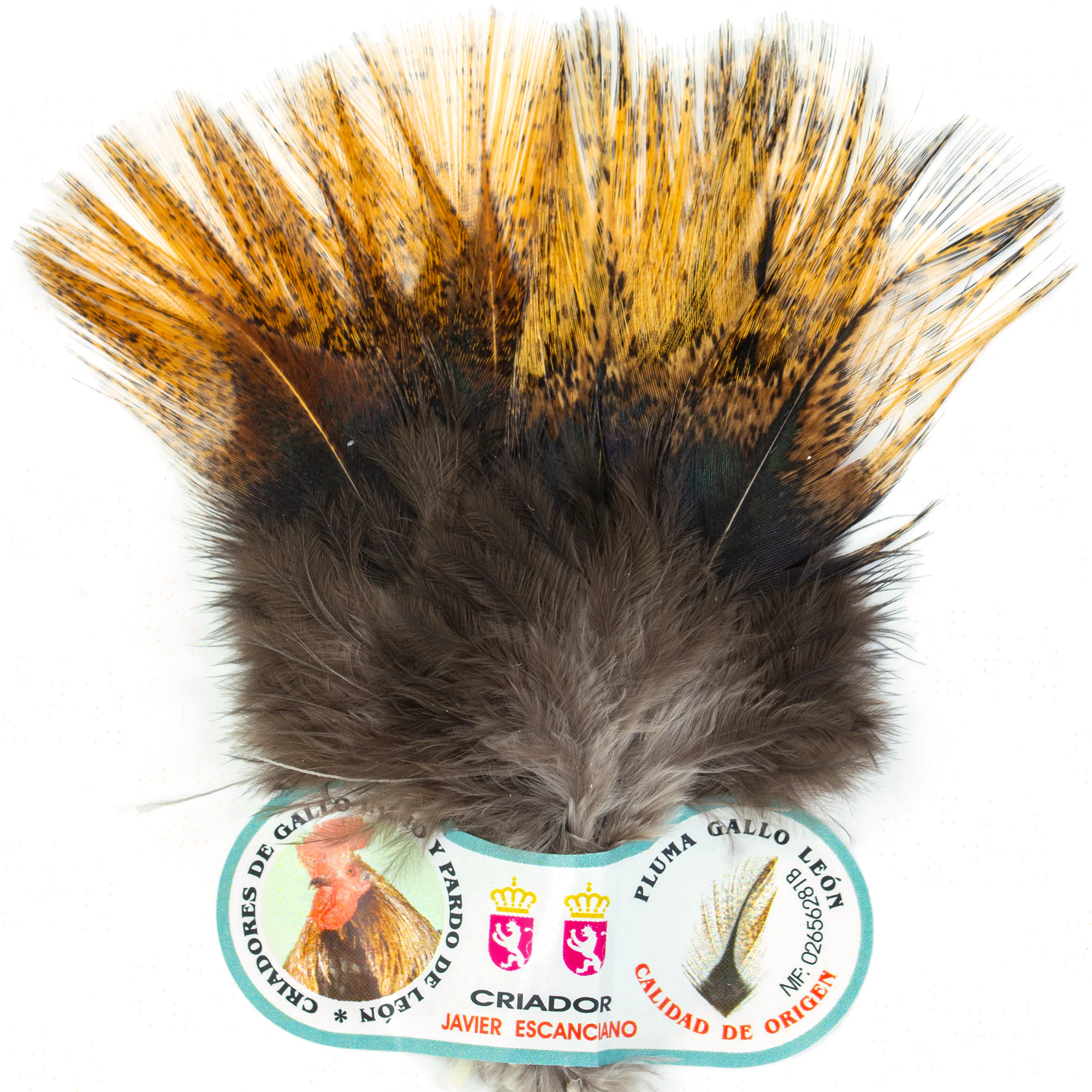 Wing Gallo de León Pardo