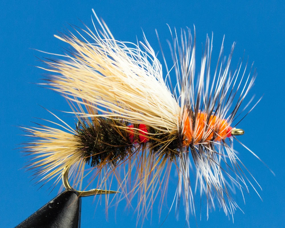 Royal Stimulator Royal Stimulator